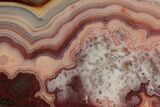 Polished Crazy Lace Agate - Mexico #194131-1